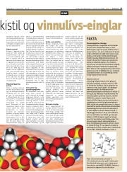 Síða 27