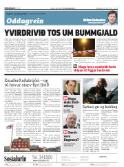 Síða 2