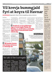 Síða 7