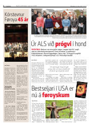 Síða 8