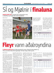 Síða 13
