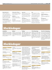 Síða 31