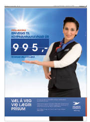 Síða 3