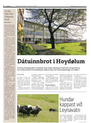 Síða 6