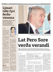 Síða 8