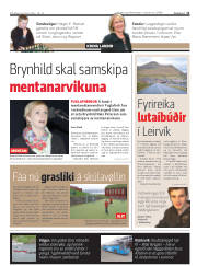Síða 11