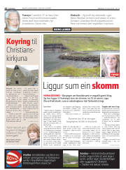 Síða 14