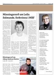 Síða 17