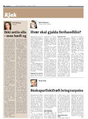 Síða 20