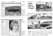 Síða 3