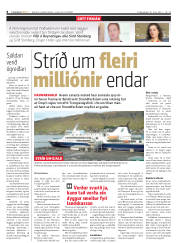 Síða 8