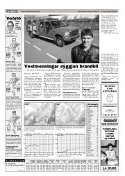 Síða 21