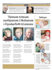 Síða 17