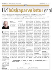Síða 22