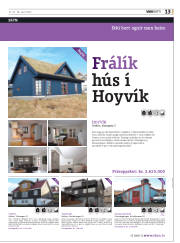 Síða 53