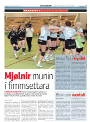 Síða 17