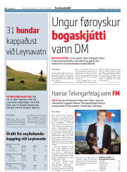 Síða 22