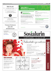 Síða 29