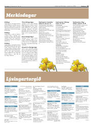 Síða 31