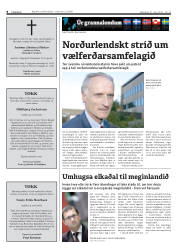 Síða 8