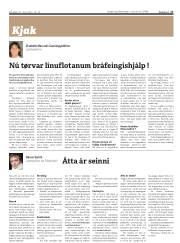 Síða 17