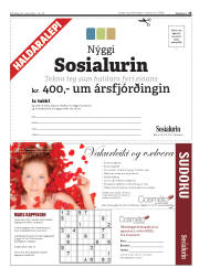 Síða 25