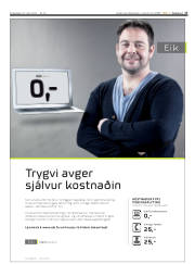 Síða 17