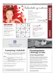 Síða 27