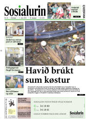 Síða 1