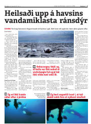 Síða 5