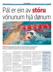 Síða 13