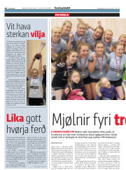 Síða 14