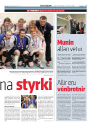 Síða 17
