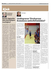 Síða 24
