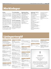 Síða 31