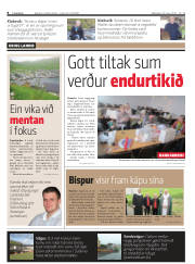 Síða 8