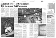 Síða 5