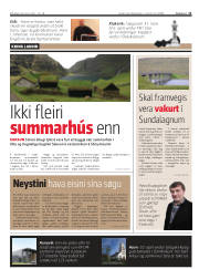 Síða 11