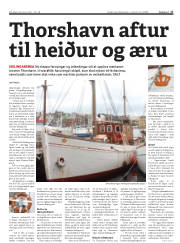 Síða 17