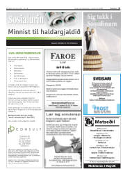 Síða 27