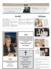 Síða 17