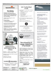 Síða 31