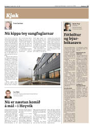 Síða 21