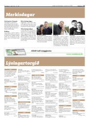 Síða 31