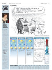 Síða 32