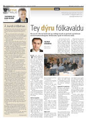 Síða 12