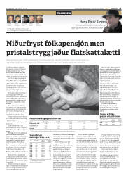 Síða 13