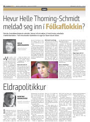 Síða 14
