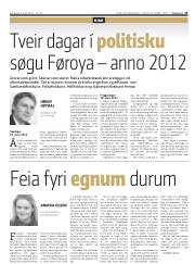 Síða 15