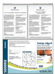 Síða 23